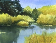 Colors of Currituck