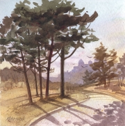 Eden Pines
