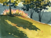 French Park Morning