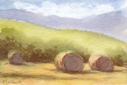 Montana Round Bales