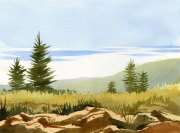 On a Clear Day