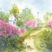 Redbud Path