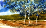 Summer Aspens (SOLD)