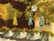 Sunbrellas on Sycamore