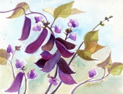 The Color Purple (SOLD)