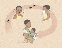 Trachoma Cycle