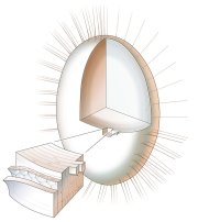 Lens of the Eye